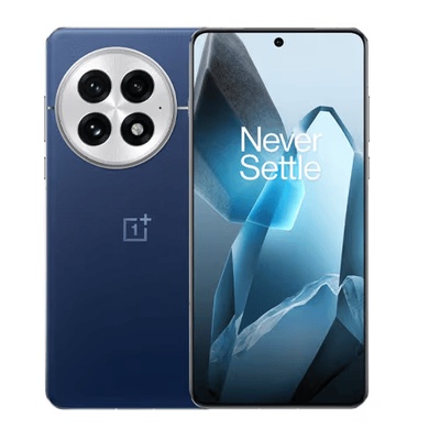 OnePlus 13