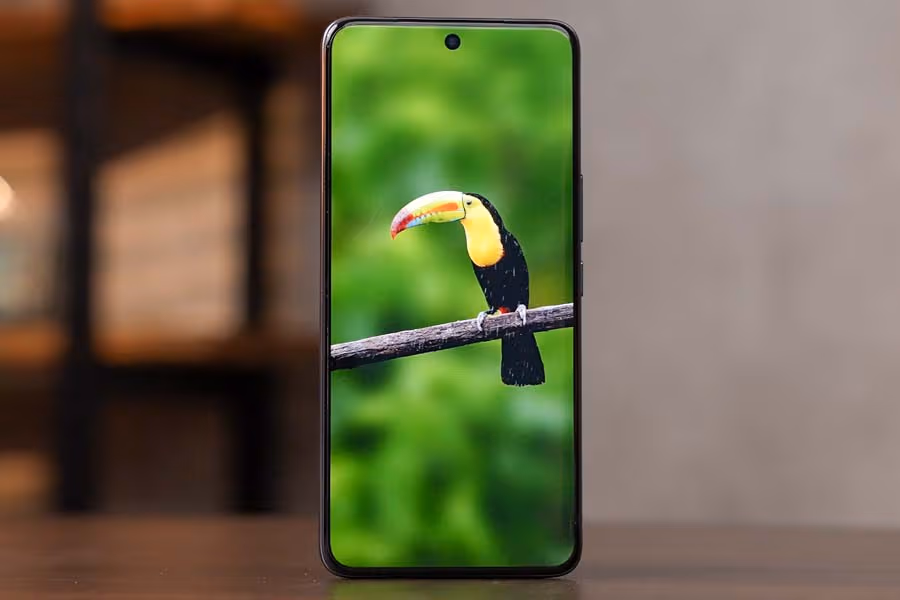 Vivo V60 (12GB RAM + 256GB storage)